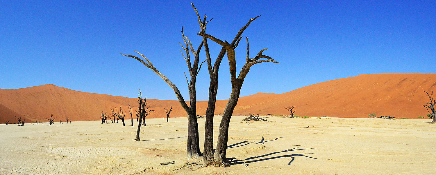 05_Deadvlei en Namibia